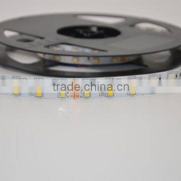 RGBW Double Row SMD5050 SMD3528 Waterproof Led Strip Light