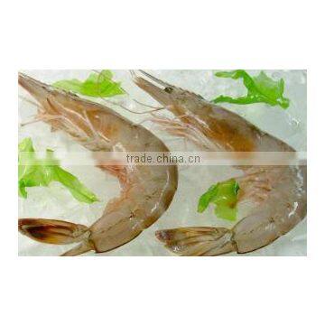 Zhoushan Haohai Aquatic Products Co., Ltd.