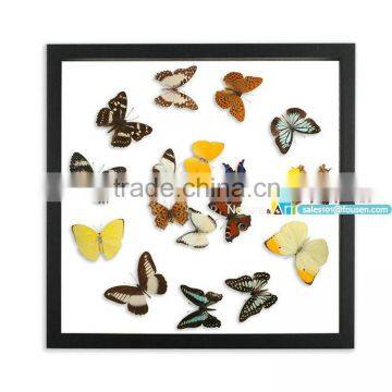 FOUSEN(026) Nature& Art Natural Home Decoration Supplier Hanging Picture Frame