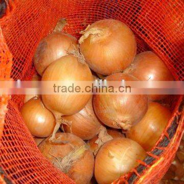 Red Onions Packing Small Size Red Onion photo-5