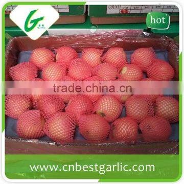 Fresh apple best price Chinese fruit gala apple