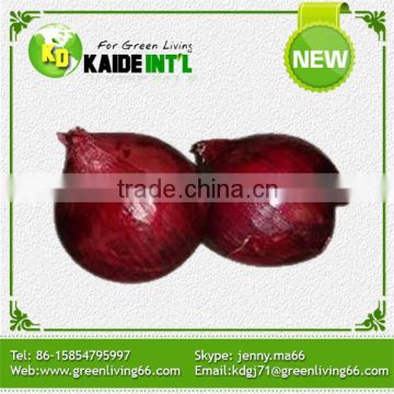 New Condition Fresh Organic Onion