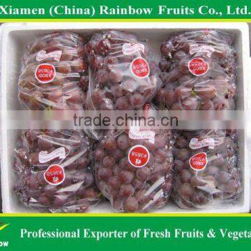 Fresh Sweet Red Grape for Export photo-3