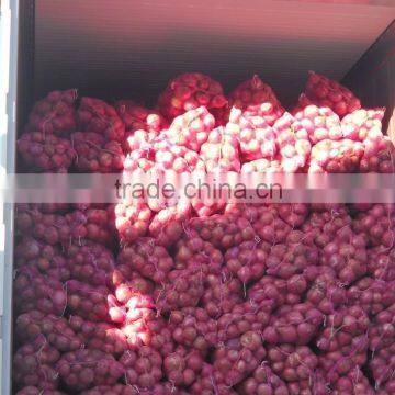 Fresh Chinese Red Onion photo-3