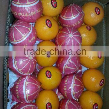 VALENCIA FRESH ORANGE FROM EGYPT