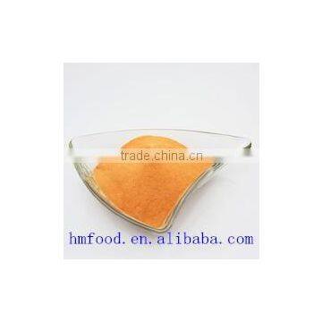 Dehydrated Carrot Powder