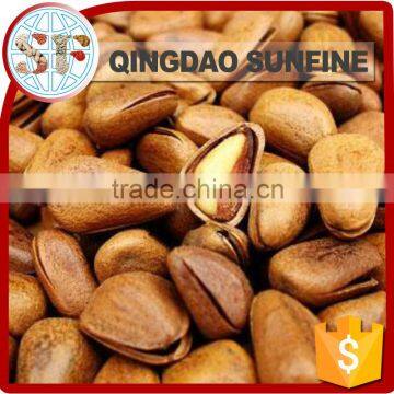 Quality and Cheap organic pine nuts