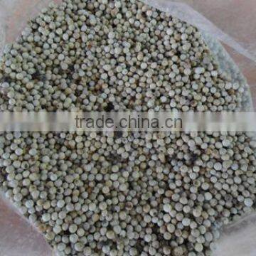 WHITE PEPPER 600G/L, 630G/L (SKYPE: VISIMEX09)