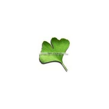 ginkgo biloba extract