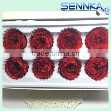 Import China Preserved Flowers Preserved Austin Rose Wholesale photo-4