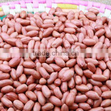 Selected Peanuts,shandong peanuts