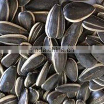 2014 Black Sunflower Seeds 5009 photo-5