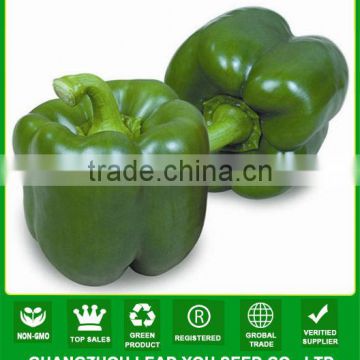 SP07 No.606 f1 hybrid green bell pepper seeds, hybrid vegetable seeds