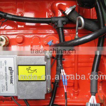 Camda 250KW Biogas/natural Gas Generator photo-4