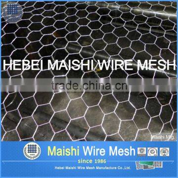 Hexagonal Mesh 1/2inch 1.2m With Low Price photo-6