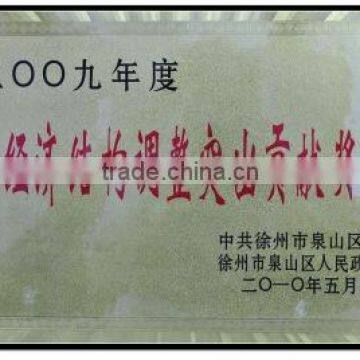 Outstanding Contribution to economic structural ad