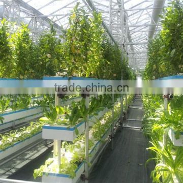 Professional Factory Price Hydroponic Cultivation