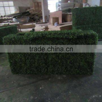 CHY040819 Home Artificial Hedge, Garden Golden Grass Hedge Suppliers photo-2