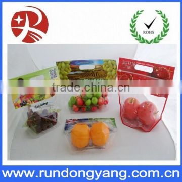 Plastic Printed Zip Lock Grapes Bag Fruit Protection Bag