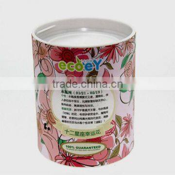 Fashion Twelve constellations lucky flower potted plant -violet