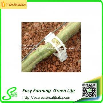 Tomato Grafting Clips photo-3