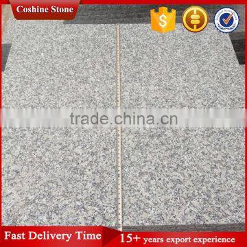 White Grey Hubei G602 Cristallo Grigio Granite photo-4