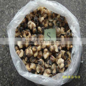 sea best cooking frozen conch meat