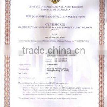 Eucheuma Spinosum With Good Price photo-6