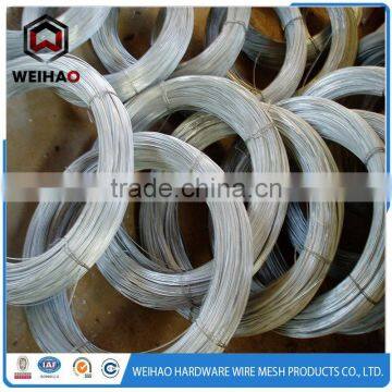 Galvanized Iron Wire for Garden Fence photo-4