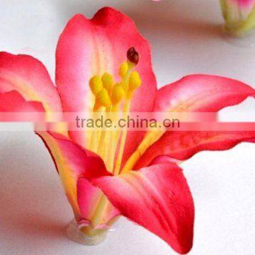 Flower head stargazer LILY ( lily casablanca ) 5" (13cm)