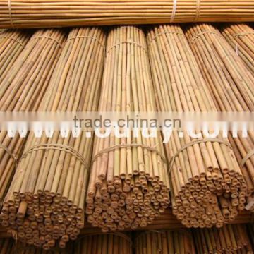 Bamboo poles wholesale