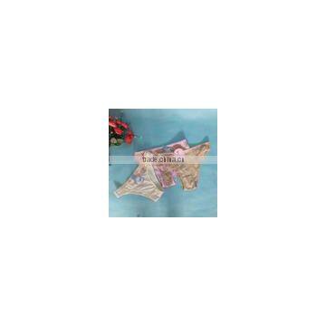 Wholesale Cut Animal Pattern Hot Ladies Sexy Underwear