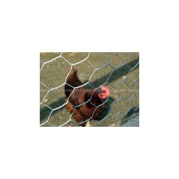 Anping Supplier High Quality Hexagonal Wire Mesh photo-2