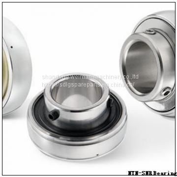 NTN-SNR Bearing