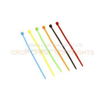 Plastic Cable Tie Binding Nylon Cable Tie