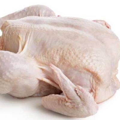 Wholesale Low Price Frozen Whole Sanhuang Chicken