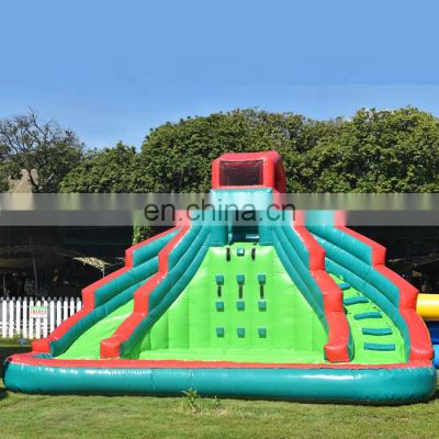 Low price huge adult and kids amusement backyard dry inflatable shark water slide