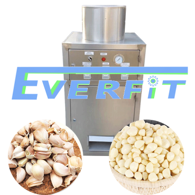 Garlic Peeling Machine India| Specifications Garlic Peeler Machine | Garlic Peeler Machine Price in Pakistan photo-3