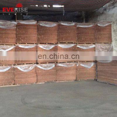 High Quality 4'x6' 0.30mm Burma Keruing Face Veneer photo-4