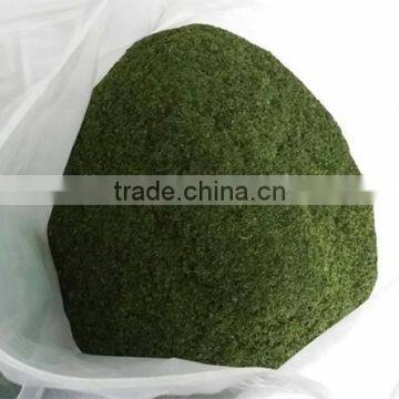 Food Flavor Type Ao-Nori Ulva Lactuca Powder in Bulk Manufacturer Supply