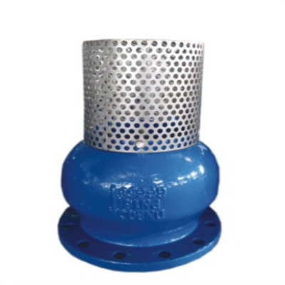 Wide Size Range ANSI Flanged Foot Valve, Ductile Iron, API 598 Tested, for High Sealing Performance