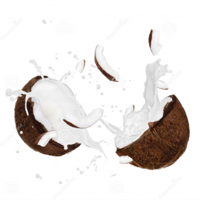 Полная линия по производству кокосового молока / Завод по переработке