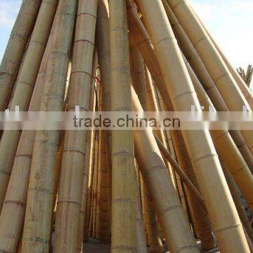 Bamboo pole Sun-013