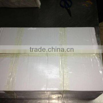 Frozen Carp Fish photo-4