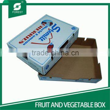 NEW STYLE WHITE CORRUGATED FRUITS PACKAGING BOXES WITH HOILES