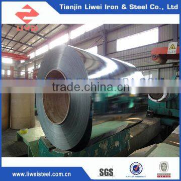 Perfessional Hot Selling Stainless Steel Coil