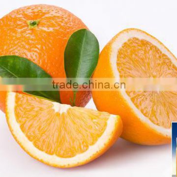 Chinese Mandarin orange juice concentrate