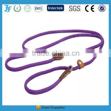 Nylon Dog Pet Rope Slip Lead