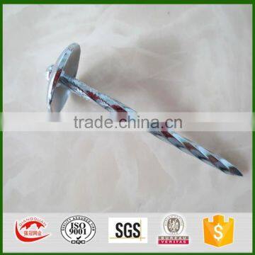 Smooth shank umbrella head roofing nails