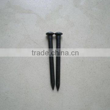 Black steel concrete nails factory